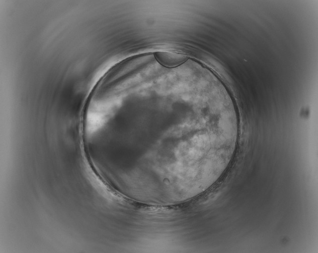 X0000111360907200907241219