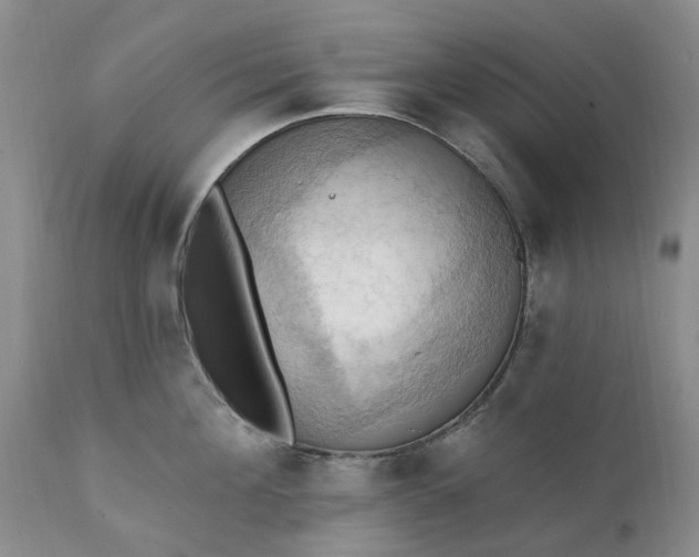 X0000111360908200907241219
