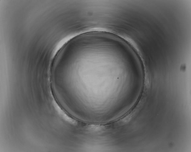 X0000111360910200907241219