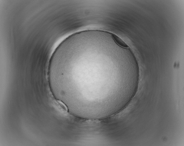 X0000111360912200907241219