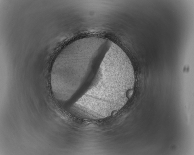 X0000111360913200907241218