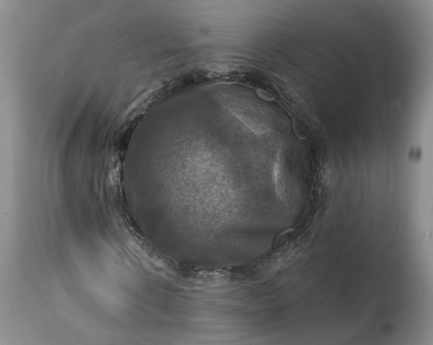 X0000111360914200907241218