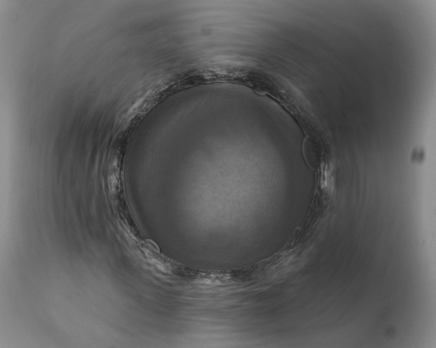 X0000111360915200907241218