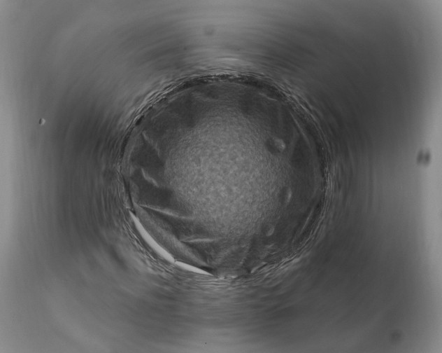 X0000111360916200907241218