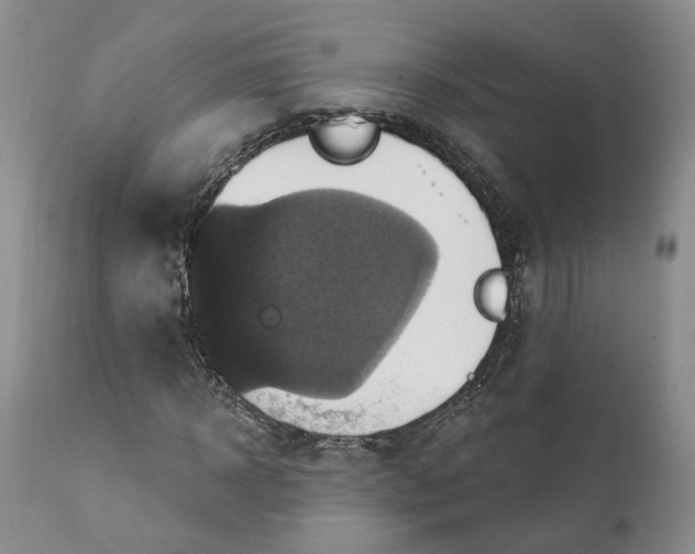 X0000111360918200907241218