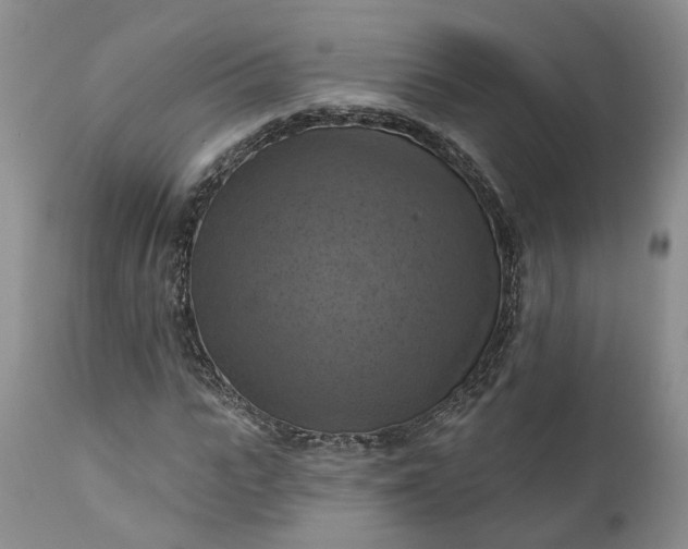 X0000111360919200907241218
