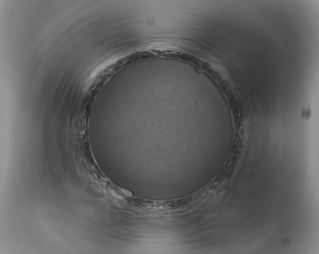 X0000111360920200907241218