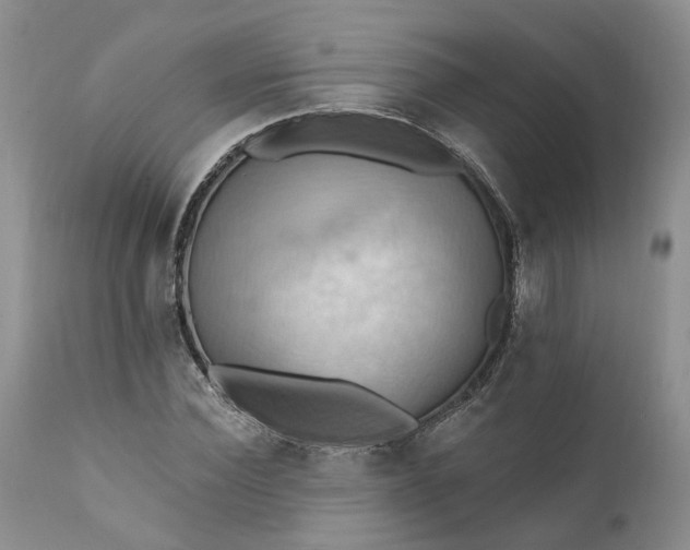 X0000111360924200907241218