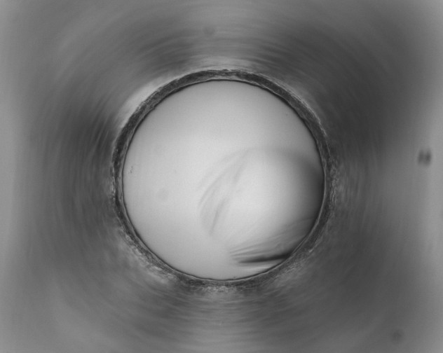 X0000111360927200907241218