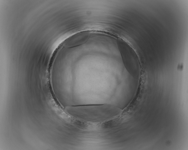 X0000111360928200907241218