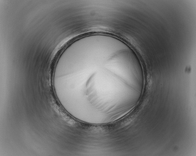X0000111360931200907241219