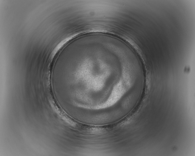 X0000111360933200907241219