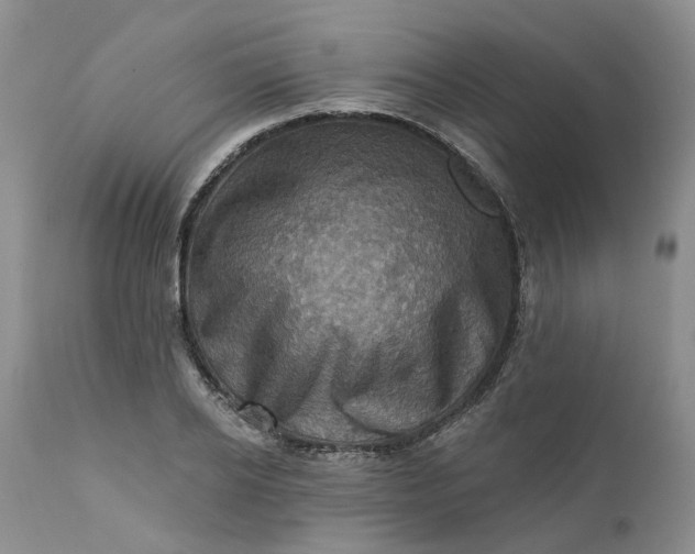 X0000111360934200907241219
