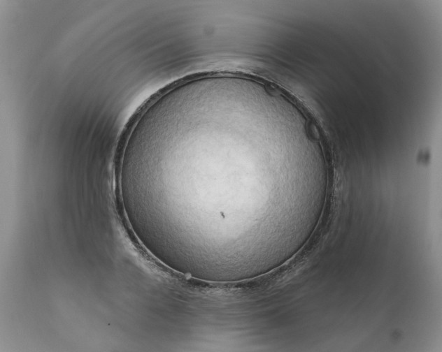 X0000111360936200907241219
