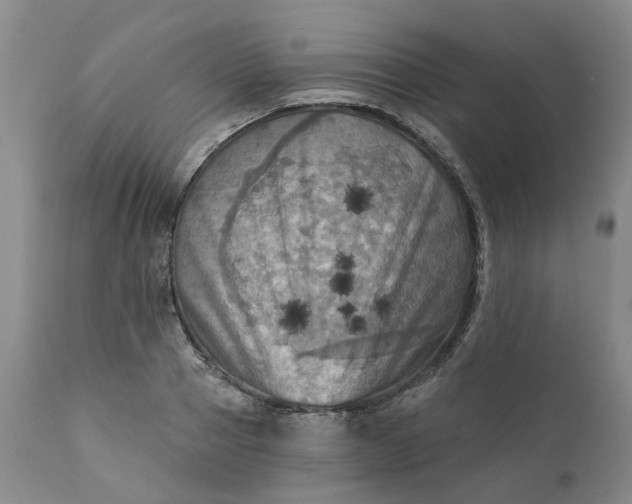 X0000111360937200907241219