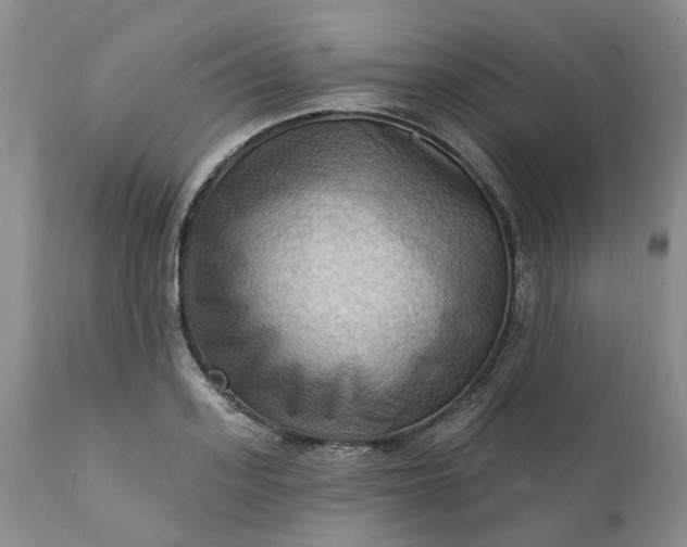 X0000111360939200907241219