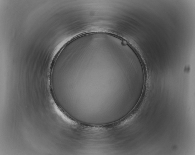 X0000111360941200907241219