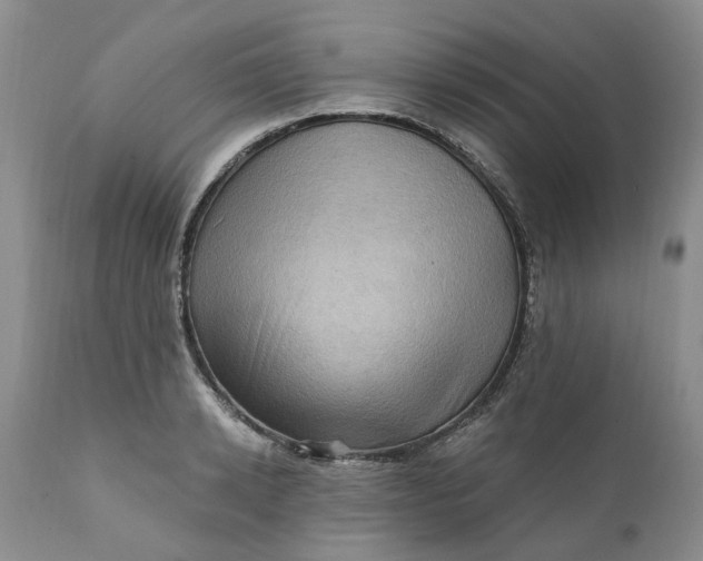 X0000111360942200907241219