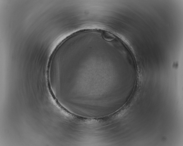 X0000111360943200907241219