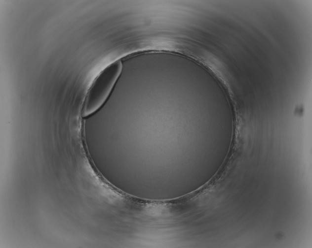 X0000111360944200907241219