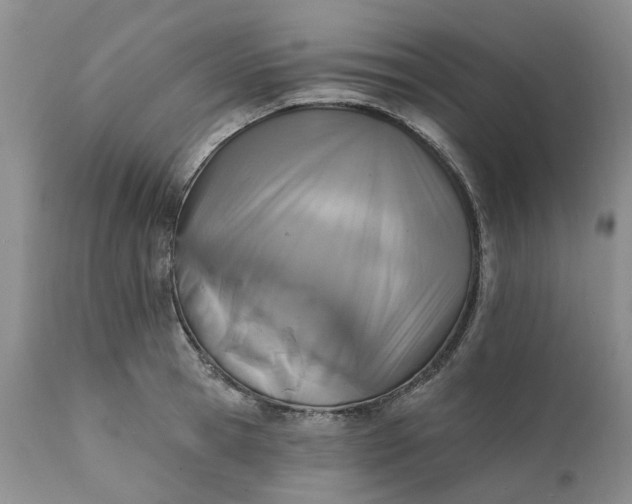 X0000111360945200907241219