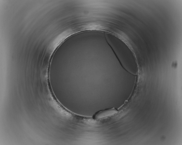 X0000111360946200907241219