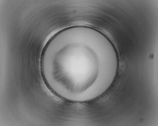 X0000111360947200907241219