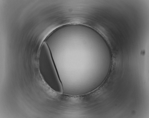 X0000111360948200907241219