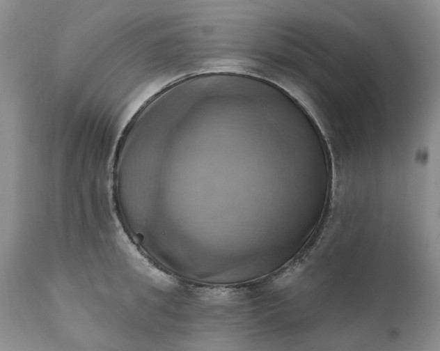 X0000111360949200907241219