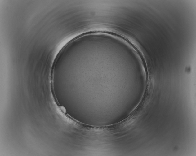X0000111360951200907241219