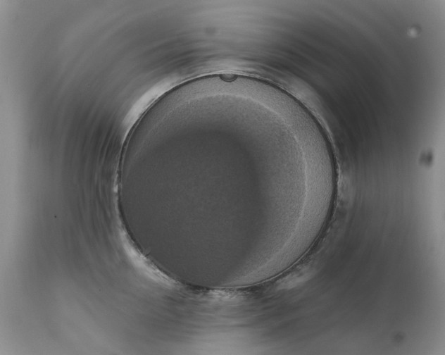 X0000111360954200907241219