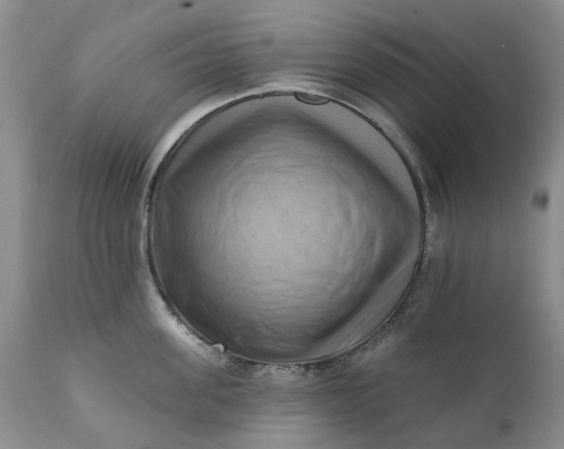X0000111360955200907241219