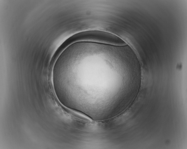 X0000111360956200907241219