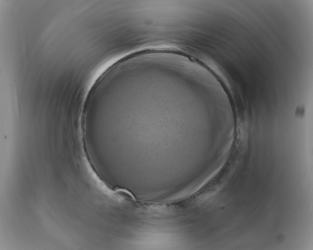 X0000111360959200907241219