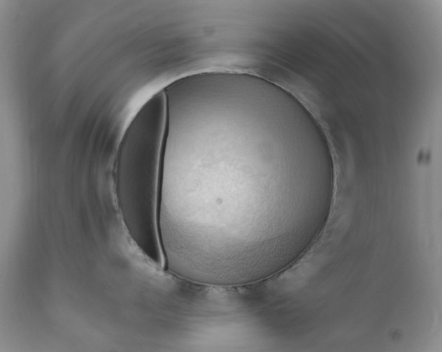 X0000111360960200907241219
