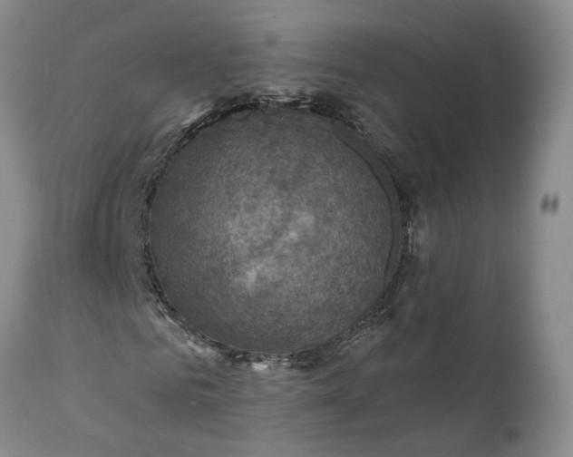 X0000111360961200907241218