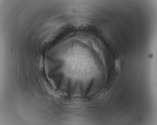 X0000111360963200907241218