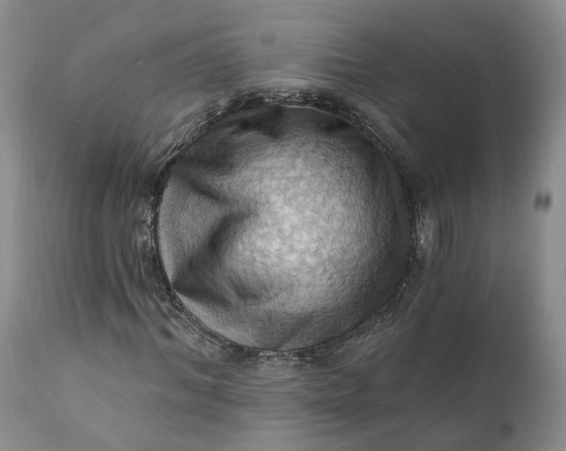 X0000111360964200907241218