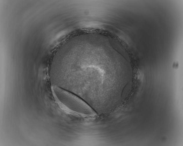 X0000111360965200907241218