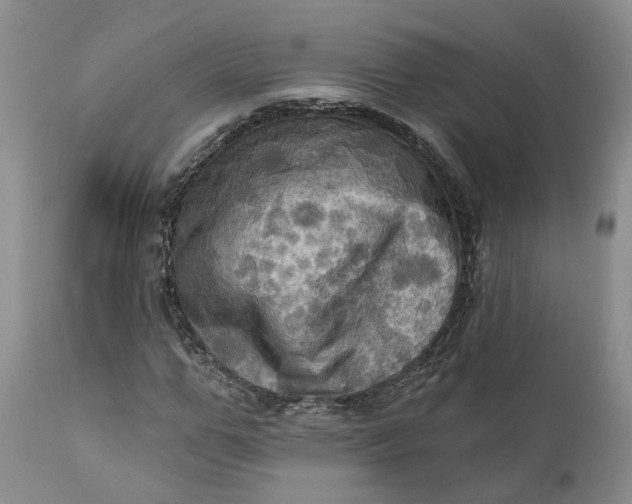 X0000111360967200907241218