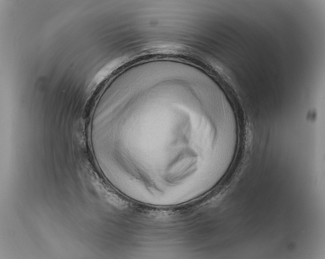 X0000111360970200907241218