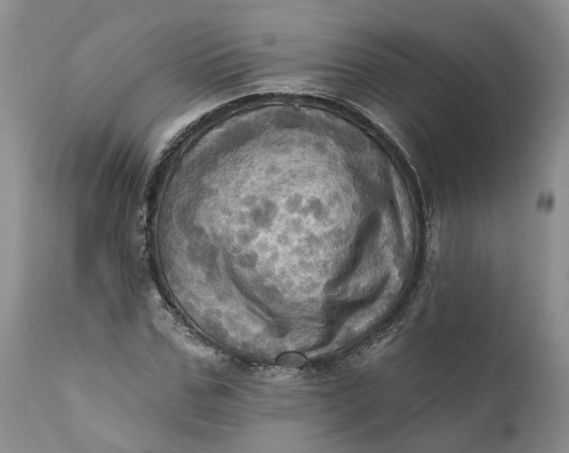 X0000111360971200907241218