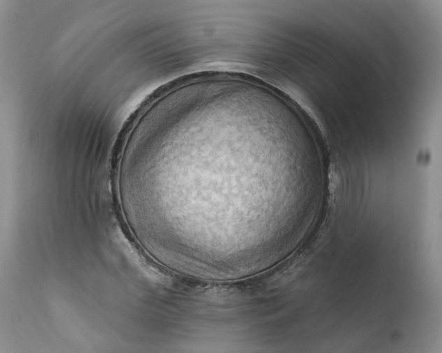X0000111360972200907241218