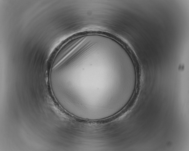 X0000111360973200907241218