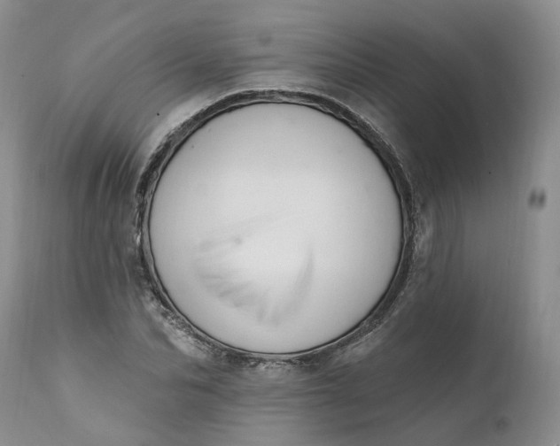 X0000111360974200907241218