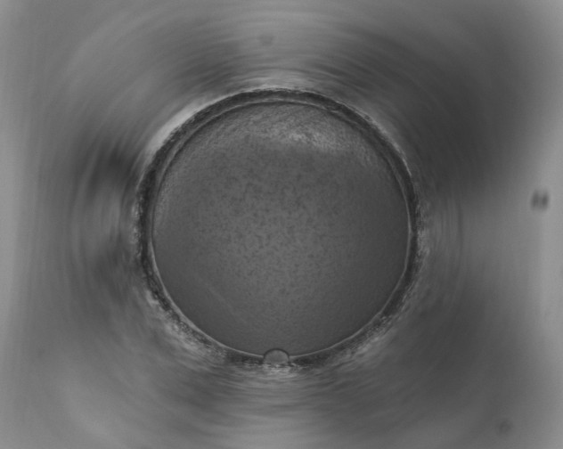 X0000111360975200907241218