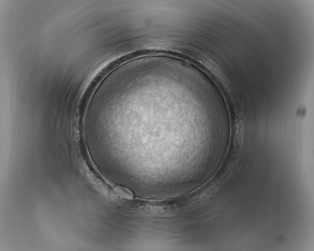 X0000111360976200907241218