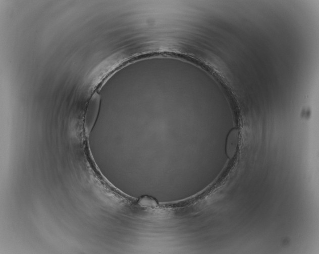 X0000111360977200907241218
