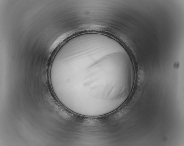 X0000111360978200907241218