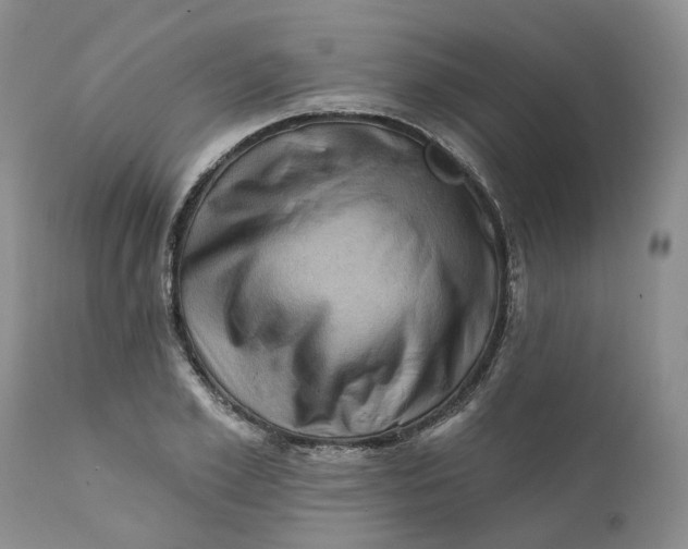 X0000111360981200907241218